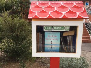 description for Gravity is the Thing book treasure hunt in Street Libraries